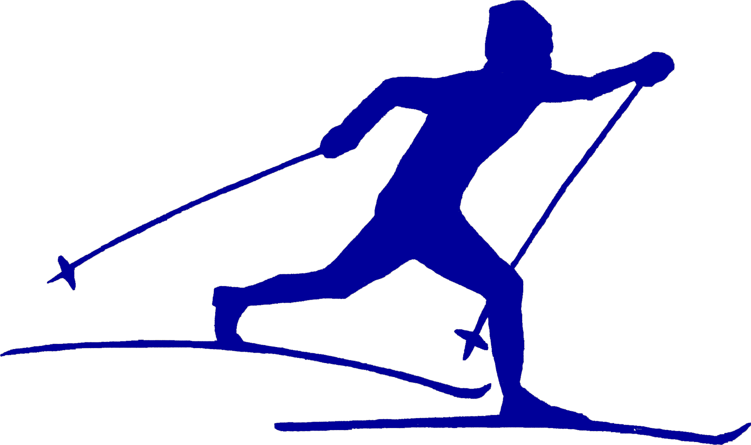 NordicSkiRacer